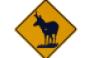 antelope sign