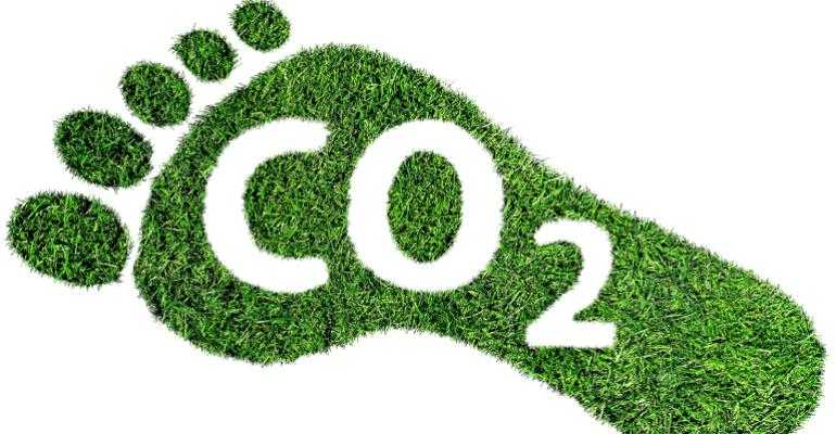 grass footprint with CO2 written on it