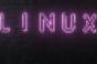 linux emblem in neon lights