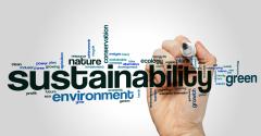 sustainability word cloud